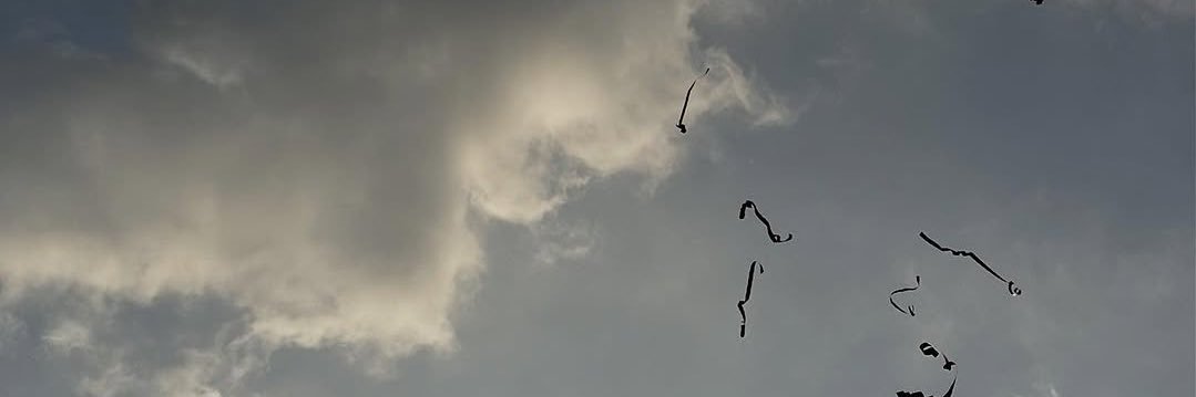 z ᶻ 𝗓 𐰁 .ᐟ banner