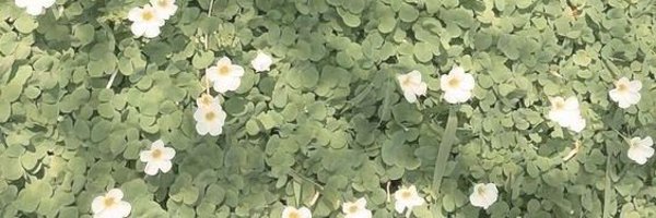 kgemgems Profile Banner