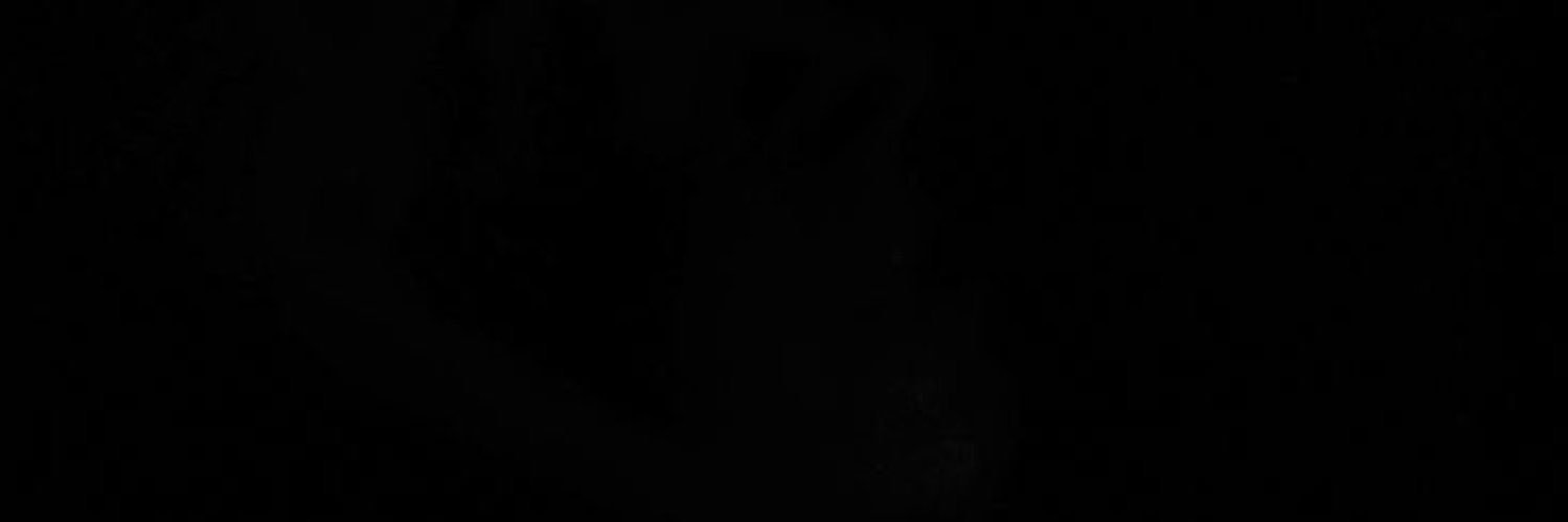 ana's banner