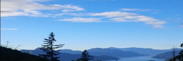 kurvers Profile Banner