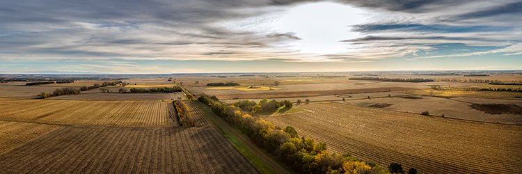 Darren Ferner banner