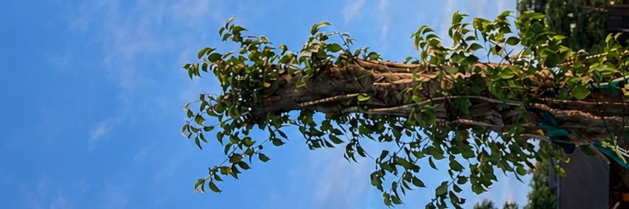 van. banner
