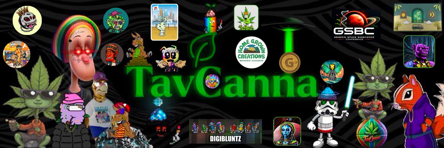 Seth Rosen's banner
