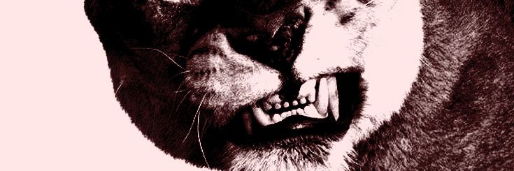 BE4RW0LF's profile banner image