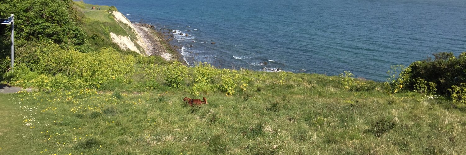 Catherine Howe banner