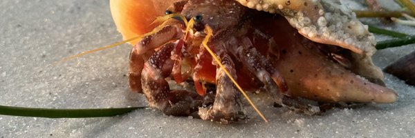 petergeorge2027 Profile Banner