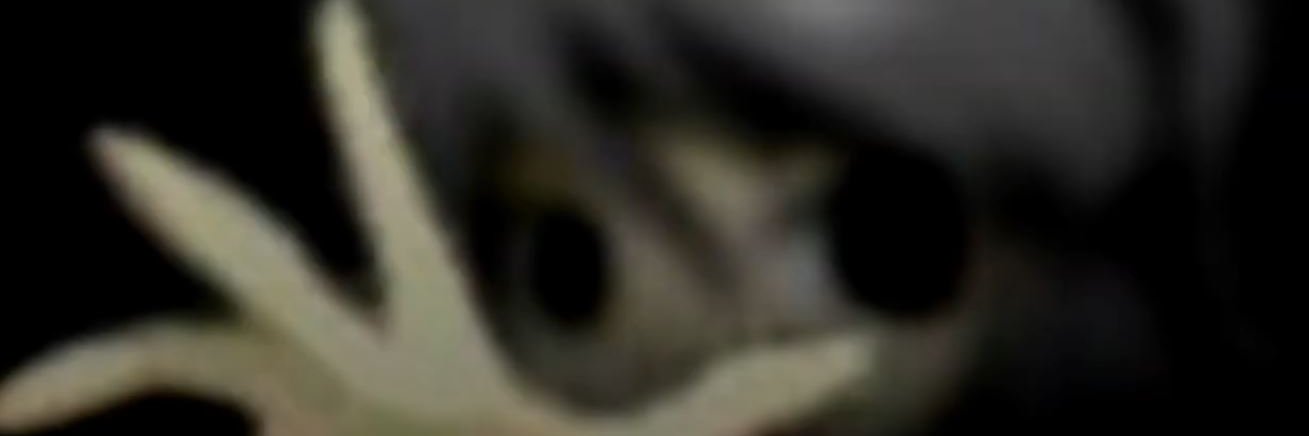 simple's banner