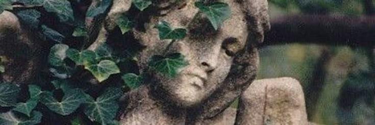 CtrlAltDegen8's profile banner image