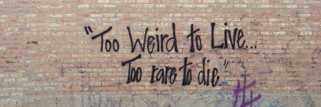 Leftists hater banner