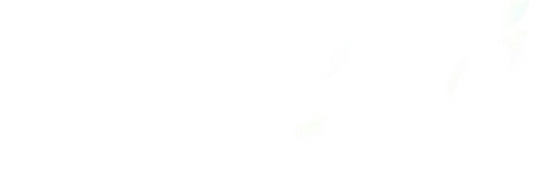 bebnom69's profile banner image