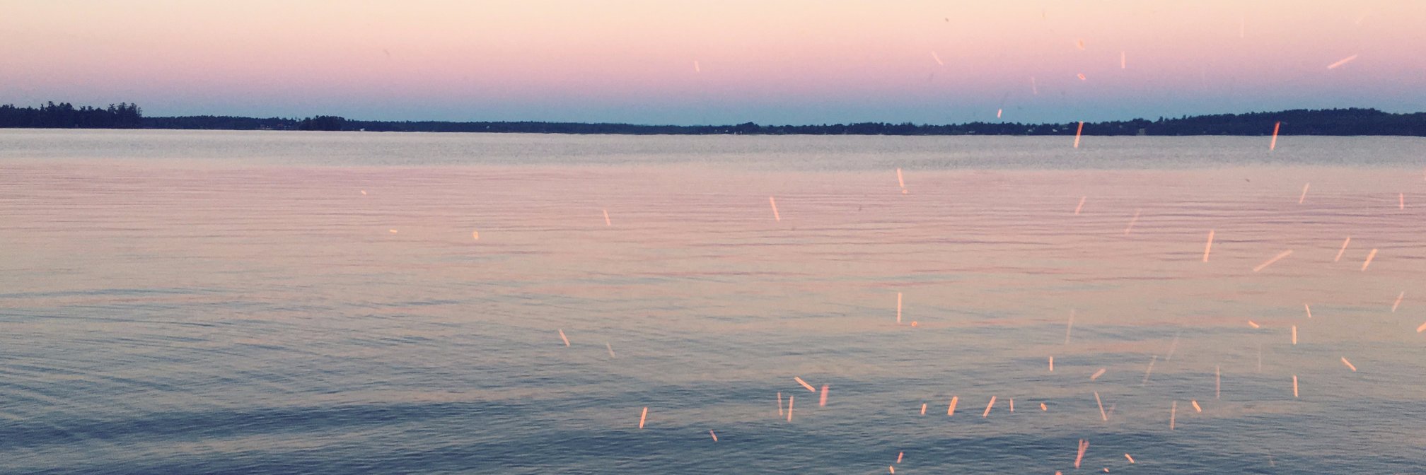 leanneshupe's profile banner image