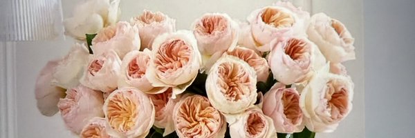 HoosierEm Profile Banner