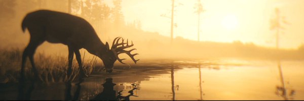tifyszn Profile Banner
