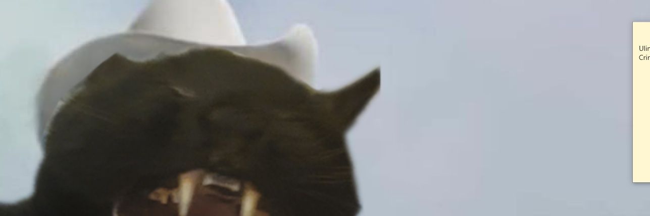 KateEllestad's profile banner image