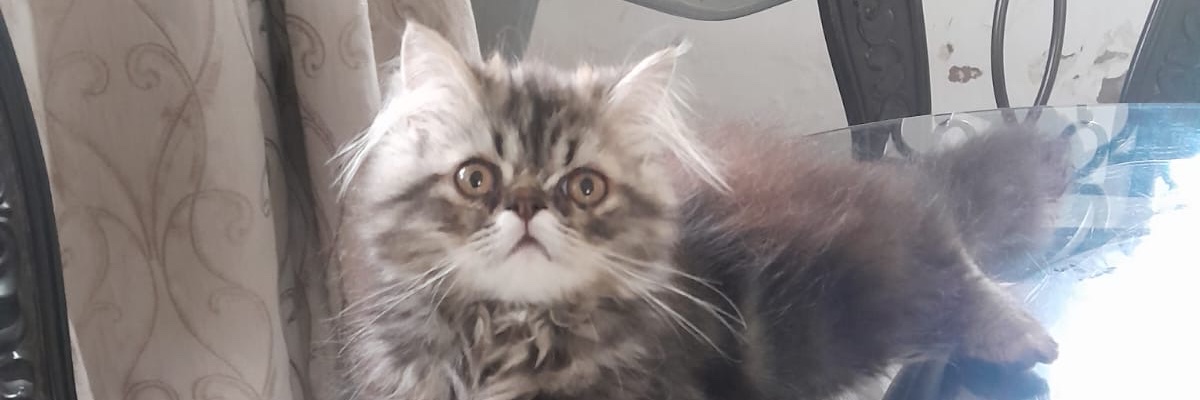 ObureJohn97950's profile banner image