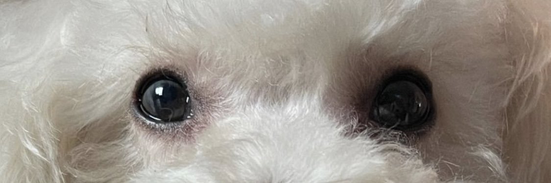 Namwan_yy's profile banner image