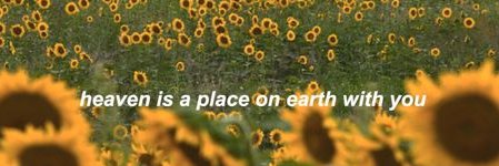 🖖🏼 banner