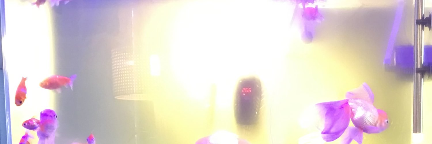 Mmfe714's profile banner image