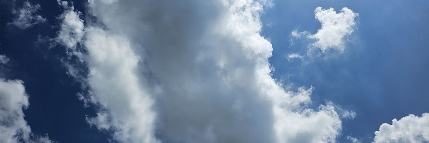 choitriva's profile banner image