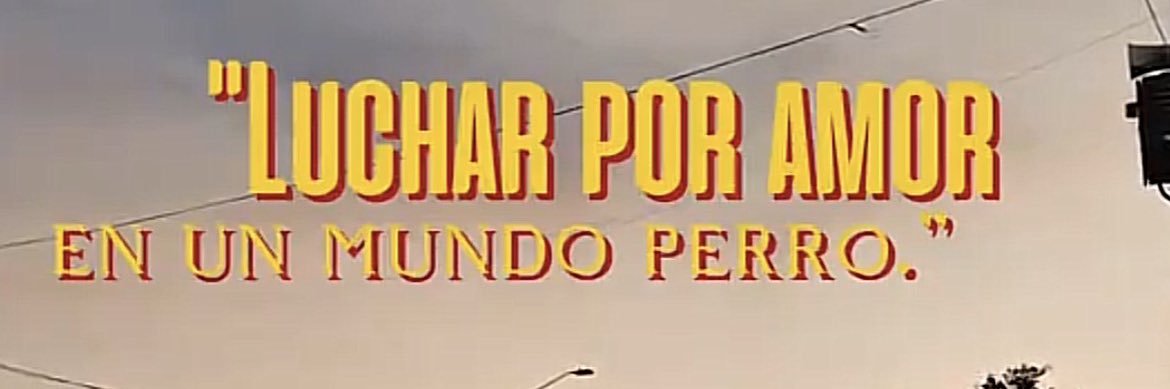 ◢ ◤ Apiº ◢ ◤ banner