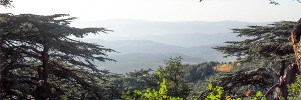 ElieHasrouty Profile Banner