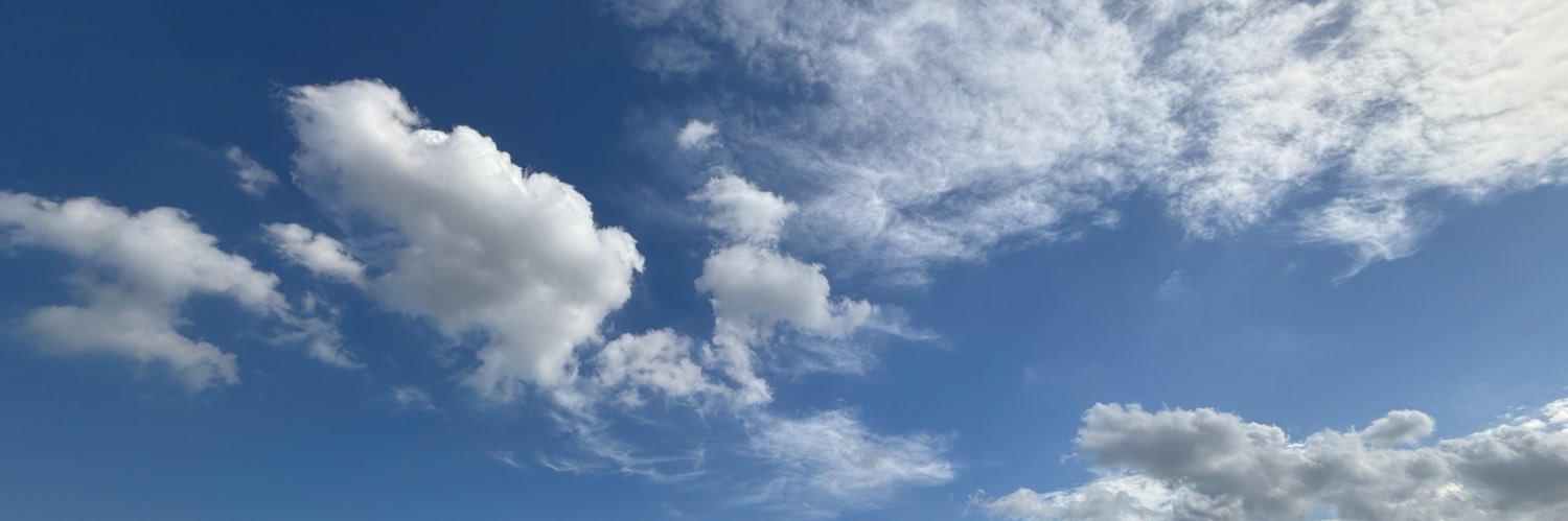 逆立ちねぎ banner