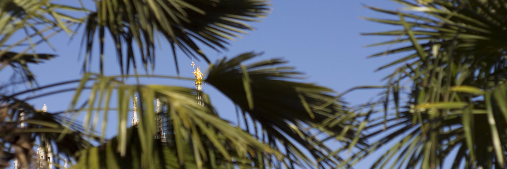 Simone Bertuzzi banner