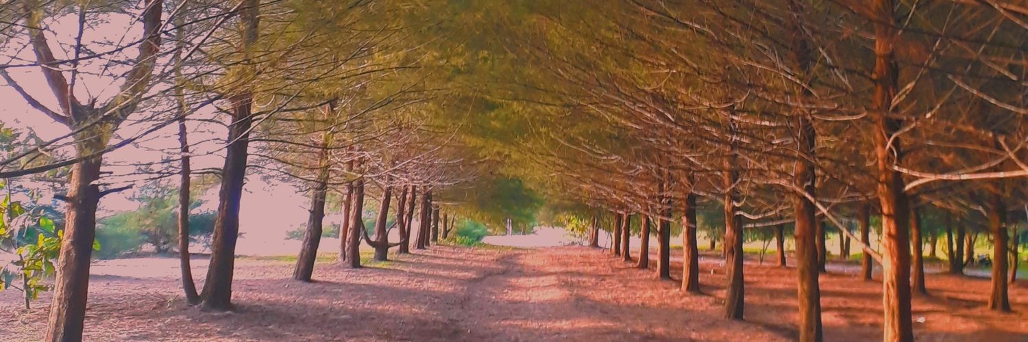 archikachika's profile banner image