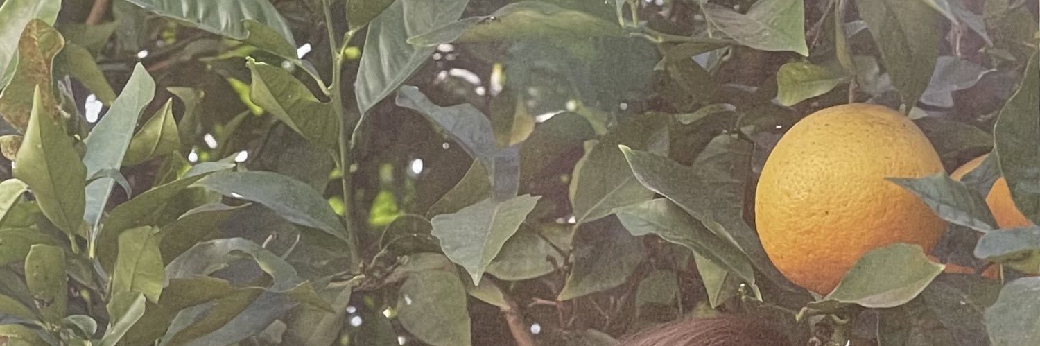 만식's banner