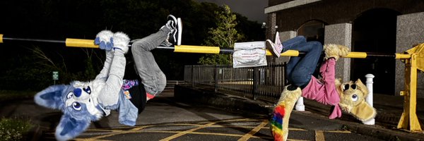FinchCollie Profile Banner