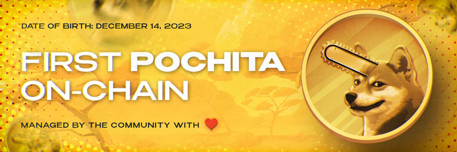 PochitaOGsol's profile banner image