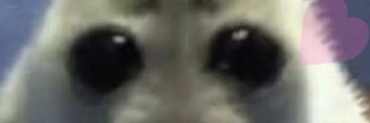 Silly Froggo 🐸 COMMS OPEN banner