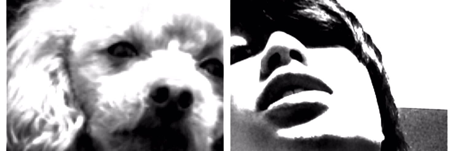 5ma5ma5's profile banner image