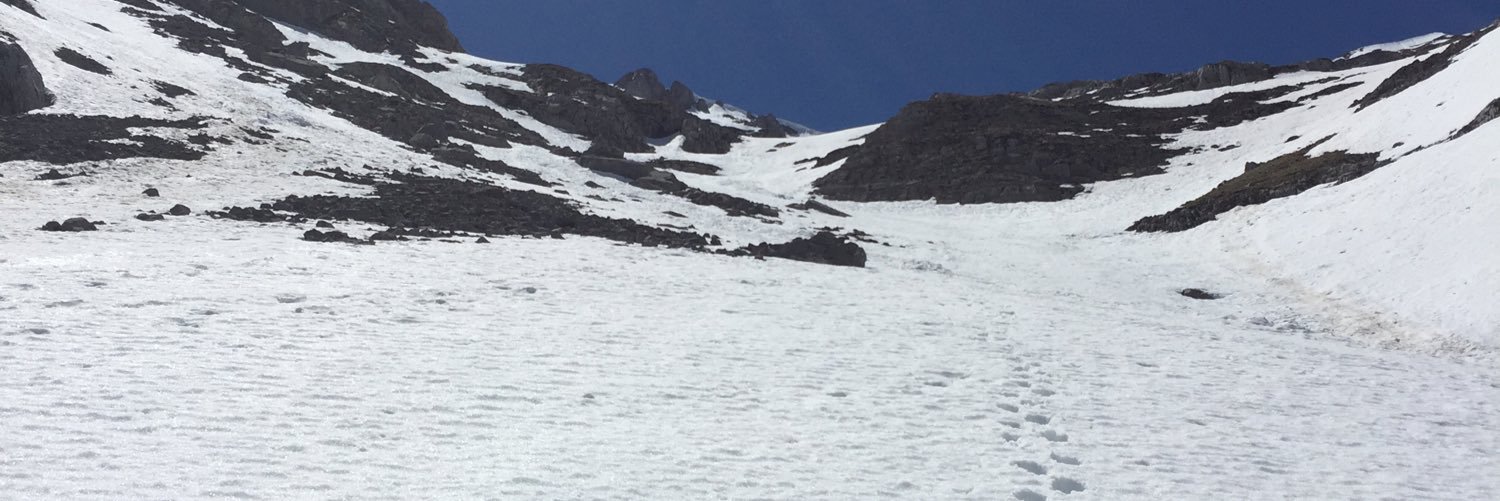 Santiago Miguélez A. banner