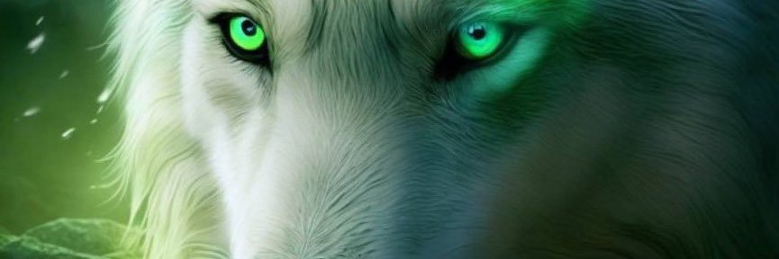 O banner