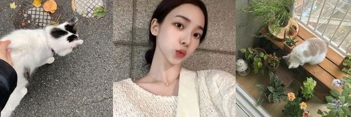 tyongji's profile banner image