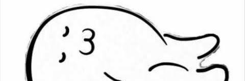 Torincia's profile banner image