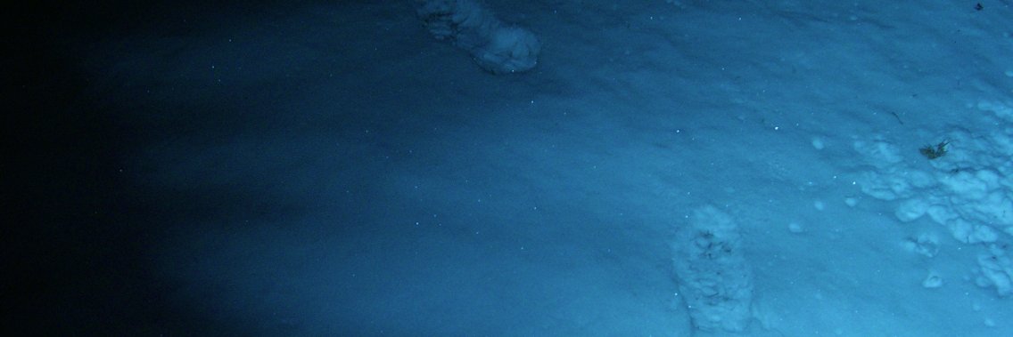 Mikemjs's profile banner image