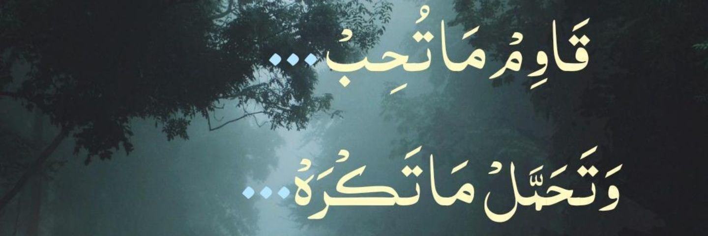 alqwafi's profile banner image
