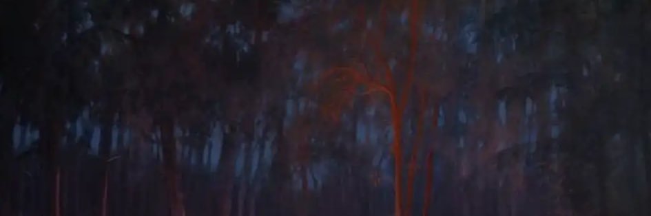 pbbvtt96's profile banner image