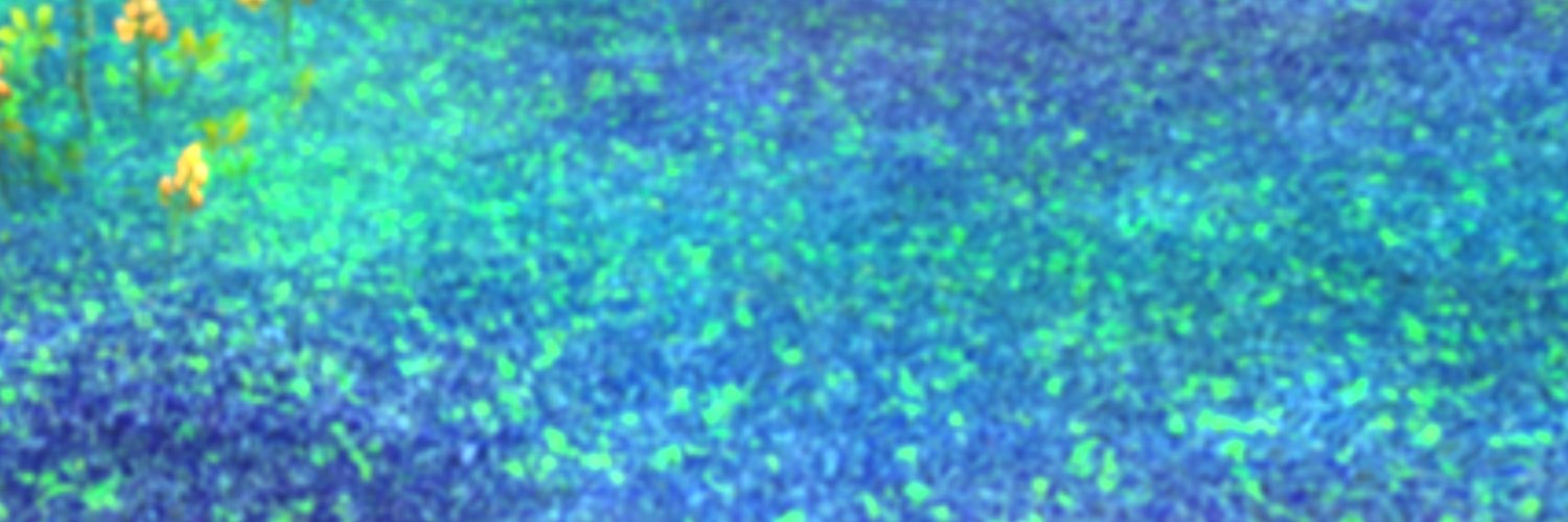 ぼたん🪷 banner