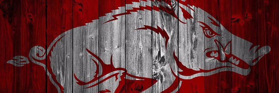 zacharybox's profile banner image