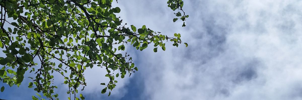 MaryamBoor's profile banner image