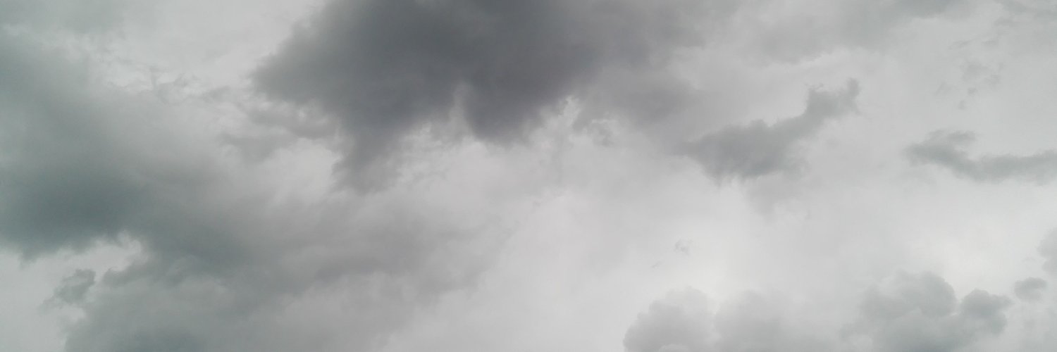 IevaVitolina's profile banner image