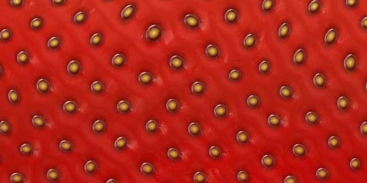 kottelatte's profile banner image