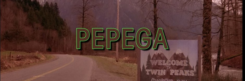 PepgaFB's banner