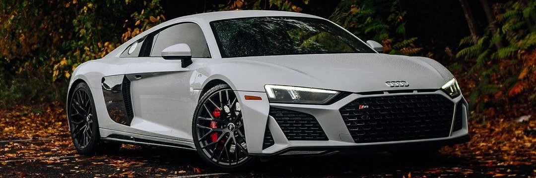 Elite Carsgasm's banner