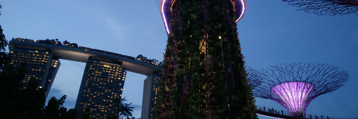 samaharani's profile banner image