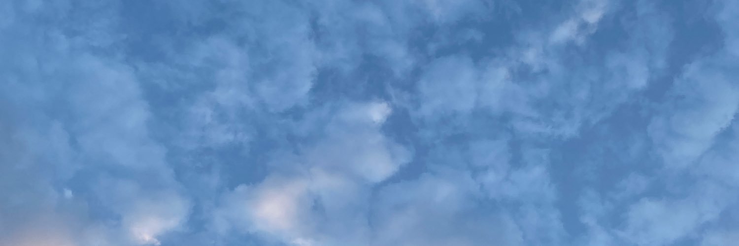 amirza banner