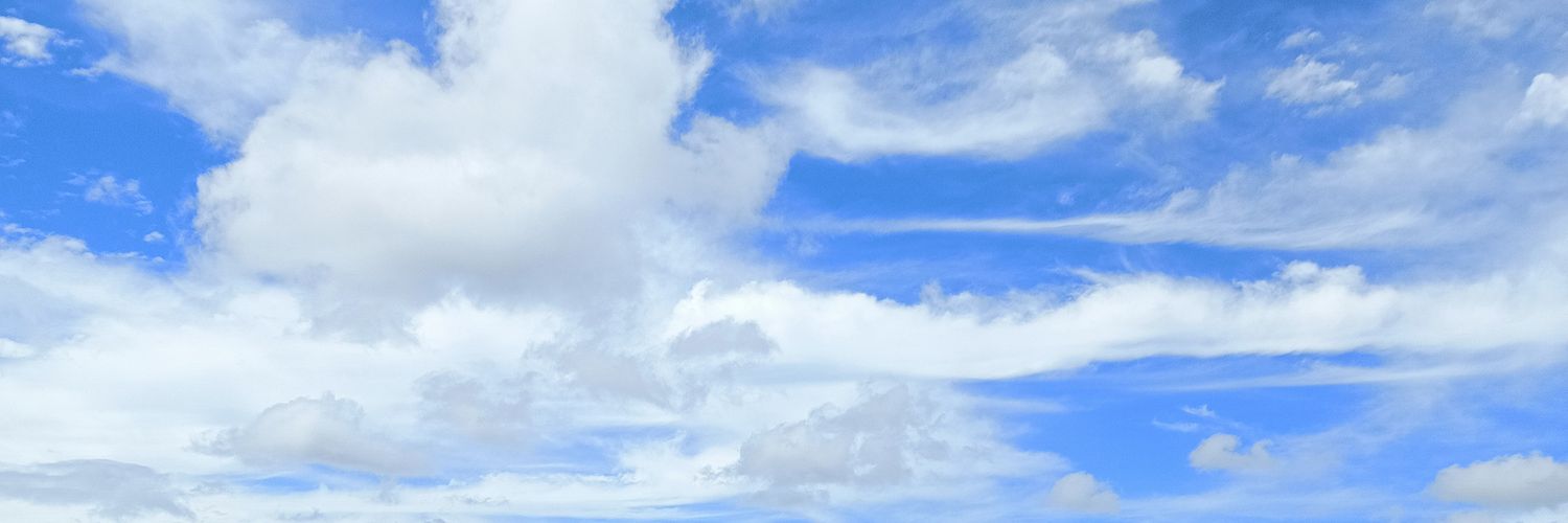 skylerbluew's profile banner image